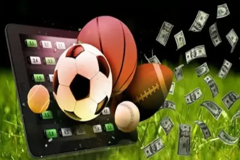 Panduan Lengkap Bermain di Clickbet88, Dari Pemula Hingga Ahli